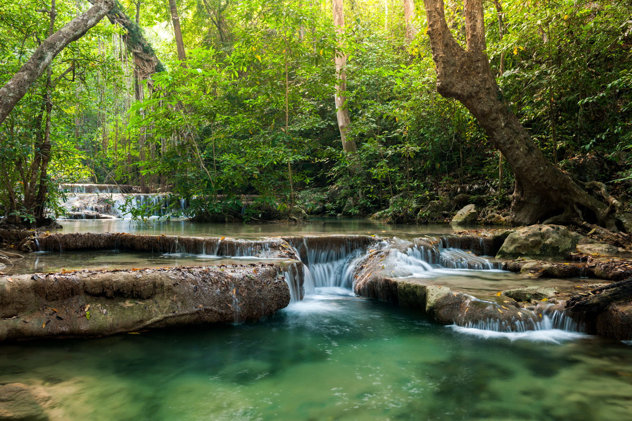 tsingy de bemaraha national park (2).webp
